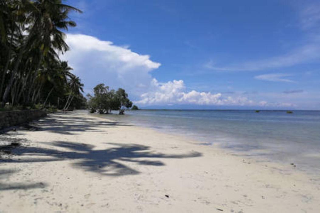 Bamboo Nest Beachfront Puerto Princesa Eksteriør bilde